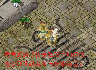ԧ������洫��˽������ο��ٻ�ȡ����װ���뼼���ؼ���