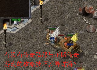 ��û�д���˽�������洫����Ϸ�Ĺ��Լ��ɲ�����⣿