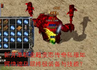 �¿���ְҵ����̬����˽����ο��ٻ�ȡ�ռ�װ���뼼�ܣ�