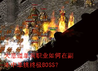 ���������ְҵ����ڸ����е����ռ�BOSS��