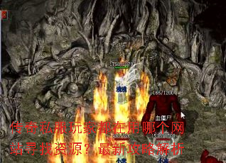 传奇私服玩家都在用哪个网站寻找资源?最新攻略解析 传奇私服玩家都在用哪个网站寻找资源?最新攻略解析