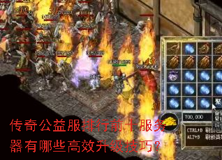 ���湫�������ǰʮ����������Щ��Ч�������ɣ�