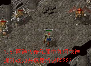 1.80��ͨ����˽������ο�������ս���������ռ�BOSS��