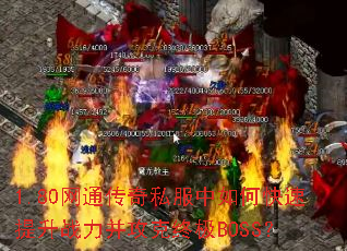 1.80��ͨ����˽������ο�������ս���������ռ�BOSS��