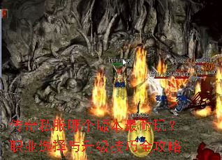 ����˽���ĸ��汾�����棿ְҵѡ������������ȫ����