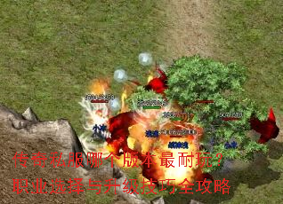����˽���ĸ��汾�����棿ְҵѡ������������ȫ����