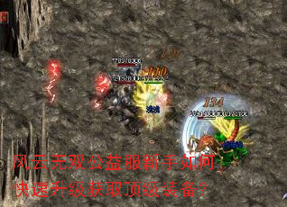 风云无双公益服新手如何快速升级获取顶级装备? 风云无双公益服新手如何快速升级获取顶级装备?