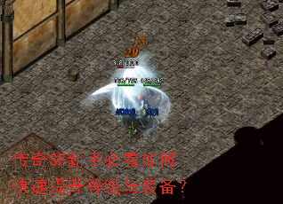 传奇SF新手必看如何快速提升等级与装备? 传奇SF新手必看如何快速提升等级与装备?