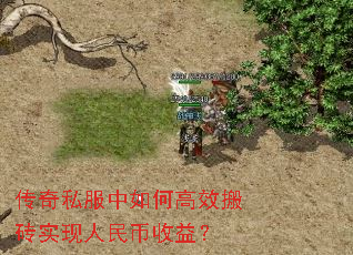 ����˽������θ�Ч��שʵ����������棿