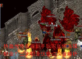��Ѫ����˽������������ѡ��ְҵ������ְҵ��ȱ����Ƚ���