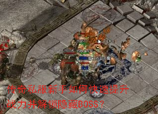 ����˽��������ο�������ս������������BOSS��