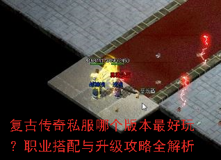 ���Ŵ���˽���ĸ��汾����棿ְҵ��������������ȫ����