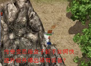 传奇变态服盒子新手如何快速升级并爆出稀有装备? 传奇变态服盒子新手如何快速升级并爆出稀有装备?