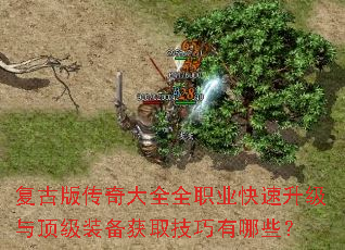 ���Ű洫���ȫȫְҵ���������붥��װ����ȡ��������Щ��