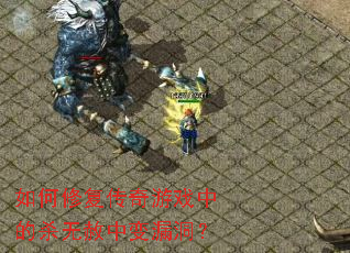 如何修复传奇游戏中的杀无赦中变漏洞? 如何修复传奇游戏中的杀无赦中变漏洞?