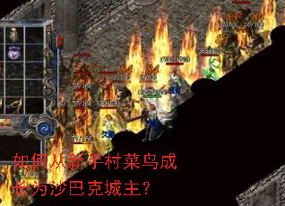 ��δ����ִ����ɳ�Ϊɳ�Ϳ˳�����
