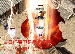 ������ӥ���ǹ���������λ�ȡ��������