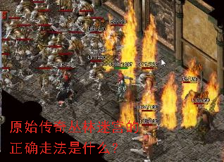 原始传奇丛林迷宫的正确走法是什么? 原始传奇丛林迷宫的正确走法是什么?