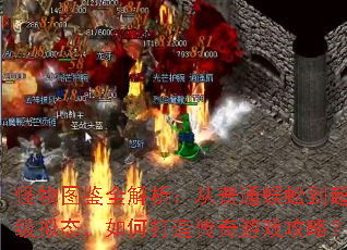 怪物图鉴全解析:从普通蜈蚣到超级拟态,如何打造传奇游戏攻略? 怪物图鉴全解析:从普通蜈蚣到超级拟态,如何打造传奇游戏攻略?