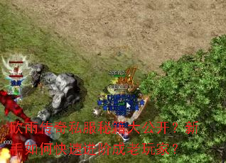 欣雨传奇私服秘籍大公开?新手如何快速进阶成老玩家? 欣雨传奇私服秘籍大公开?新手如何快速进阶成老玩家?