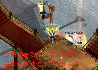 欣雨传奇私服秘籍大公开?新手如何快速进阶成老玩家? 欣雨传奇私服秘籍大公开?新手如何快速进阶成老玩家?