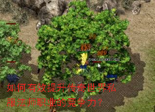 如何有效提升传奇世界私服法师职业的竞争力? 如何有效提升传奇世界私服法师职业的竞争力?
