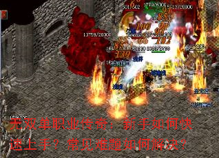 ��˫��ְҵ���棺������ο������֣�����������ν����