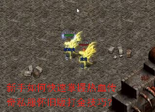 新手如何快速掌握热血传奇私服怀旧版打金技巧? 新手如何快速掌握热血传奇私服怀旧版打金技巧?