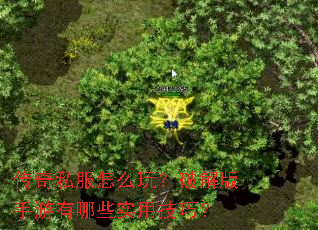 ����˽����ô�棿�ƽ����������Щʵ�ü��ɣ�