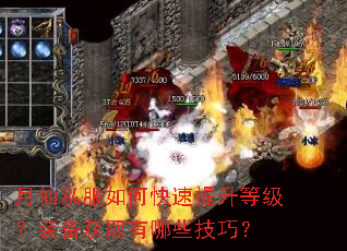 月仙私服如何快速提升等级?装备获取有哪些技巧? 月仙私服如何快速提升等级?装备获取有哪些技巧?
