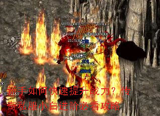 ������ο�������ս��������˽��С�׽��ױؿ�����