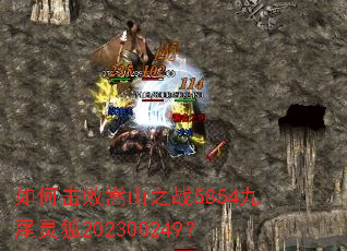 ��λ�����ɽ֮ս5854��β���202300249��