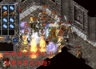 �����˺����벹������Щ�������⣿