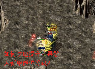 如何快速提升苹果散人新服爵位等级? 如何快速提升苹果散人新服爵位等级?