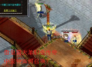 ���ʰ��쵥ְҵ�����г�������ٻ���