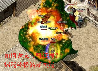 如何遗忘传奇征程?揭秘终极游戏奥秘 如何遗忘传奇征程?揭秘终极游戏奥秘