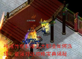 �������·����ְҵ���ѡ����ǿ��ս���Ա������
