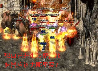 ���Լ��������棬������Ӧ��ȥ������