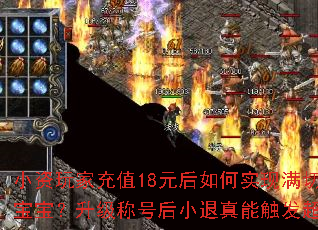С����ҳ�ֵ18Ԫ�����ʵ�����и����ռ������������ƺź�С�����ܴ������߱�����