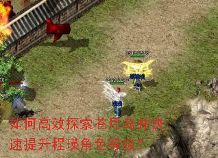 ��θ�Ч̽�����µ�����������������ɫ�ȼ���