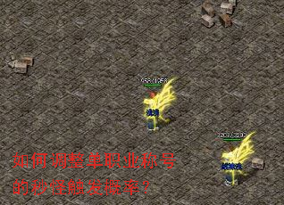 ��ε�����ְҵ�ƺŵ���ִ������ʣ�