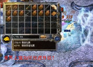 世界之窗如何快速升级? 世界之窗如何快速升级?
