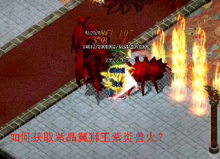 ��λ�ȡ�Ͼ���ʨ�������޻�
