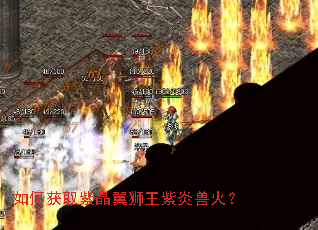 ��λ�ȡ�Ͼ���ʨ�������޻�