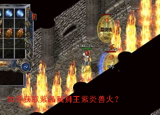 ��λ�ȡ�Ͼ���ʨ�������޻�