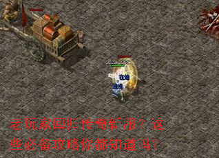 ����һع鴫���·�����Щ�ر������㶼֪����