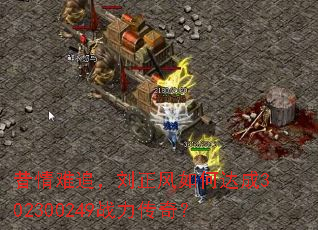 ������׷����������δ��302300249ս�����棿