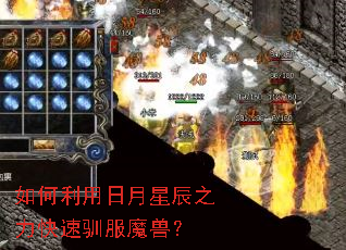 ������������ǳ�֮������ѱ��ħ�ޣ�