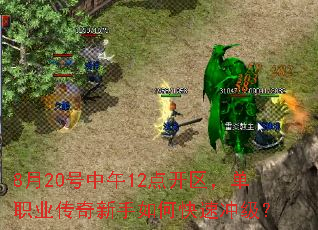 8��20������12�㿪������ְҵ����������ο��ٳ弶��