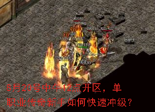 8��20������12�㿪������ְҵ����������ο��ٳ弶��